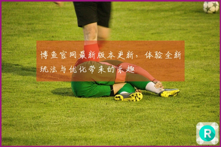 博鱼官网最新版本更新，体验全新玩法与优化带来的乐趣