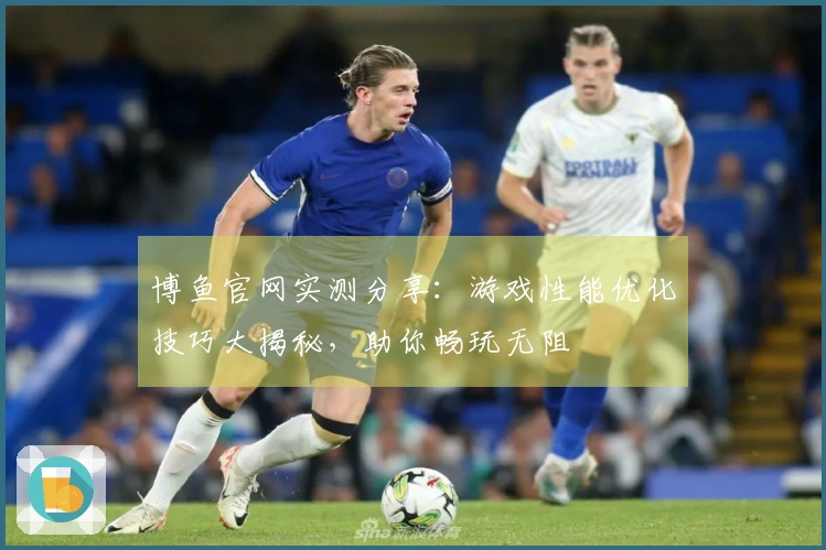 博鱼官网实测分享：游戏性能优化技巧大揭秘，助你畅玩无阻